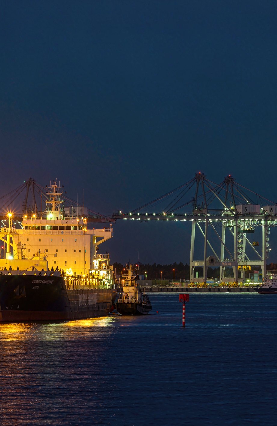 Container ship berthed beside gantry cranes at a port at dusk